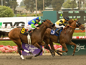 Awesome Gem Glitters in Big Gold Cup Finish Awesome Gem Glitters in Big Gold Cup Finish