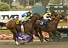 Awesome Gem Glitters in Big Gold Cup Finish Awesome Gem Glitters in Big Gold Cup Finish