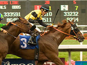 Nine-Year-Old Awesome Gem Prepares for Return Nine-Year-Old Awesome Gem Prepares for Return