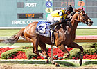 Awesome Gem, Astrology in Iowa Stakes