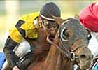 Awesome Gem Favored to End Streak in Berkeley Awesome Gem Favored to End Streak in Berkeley