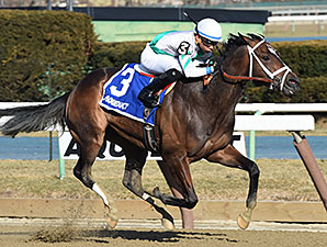 NY-Bred Awesome Gent Takes Winkfield