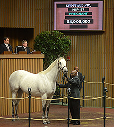 Awesome Maria Fetches $4 Million at Keeneland Awesome Maria Fetches $4 Million at Keeneland