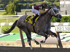 Awesome Maria an Overpowering Matron Winner Awesome Maria an Overpowering Matron Winner
