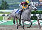 'Maria' the Main Star in Ogden Phipps