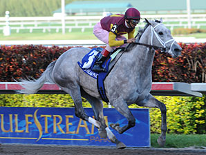 Awesome Maria Odds-On Choice in Shuvee 'Cap Awesome Maria Odds-On Choice in Shuvee 'Cap