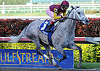 Awesome Maria Odds-On Choice in Shuvee 'Cap