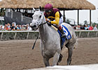 Awesome Maria Dominates Royal Delta in Sabin