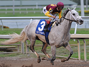 Keeneland to Offer Robsham Stables Dispersal Keeneland to Offer Robsham Stables Dispersal