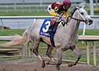 Keeneland to Offer Robsham Stables Dispersal Keeneland to Offer Robsham Stables Dispersal