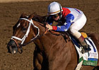 Jockey Romero, Three Horses to Hall of Fame