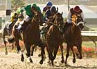 Azul Leon Stays Perfect With Best Pal DQ