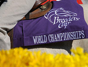 Breeders' Cup Considers Tougher Drug Policy Breeders' Cup Considers Tougher Drug Policy