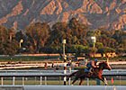 Breeders' Cup Early Forecast: Sunny and Cool Breeders' Cup Early Forecast: Sunny and Cool