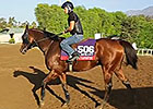 Breeders' Cup News Update for Oct 30, 2014 Breeders' Cup News Update for Oct 30, 2014
