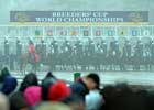 Wagering in First Breeders' Cup Day Shatters Monmouth Record