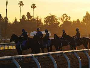 Breeders' Cup Weather and TV Schedule Breeders' Cup Weather and TV Schedule