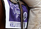 Slideshow: 2010 Breeders' Cup Sights