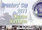 BC 2011 Marathon Injury Update BC 2011 Marathon Injury Update