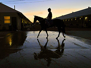 Sunny Skies and Cool for Breeders' Cup Sunny Skies and Cool for Breeders' Cup
