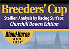 BC Stallion Analysis by Racing Surface BC Stallion Analysis by Racing Surface
