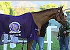 BC: Wise Dan - Reigning Horse of the Year
