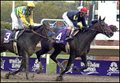 Storm Flag Flying to Debut Friday in Comely Storm Flag Flying to Debut Friday in Comely