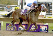 Volponi Has First Work of the Year Volponi Has First Work of the Year