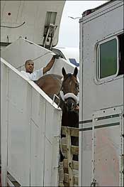 Bluegrass Cat Retired Due to Pastern Injury Bluegrass Cat Retired Due to Pastern Injury