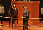 Fasig-Tipton July Sale Wrap-Up Fasig-Tipton July Sale Wrap-Up