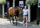 Saratoga Sale Preview 2012 Saratoga Sale Preview 2012