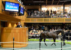 Saratoga Sale 2012: Day 1 Wrap