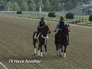 And They're Off: Preakness Edition