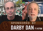 And They're Off: St. Patrick's Day Edition