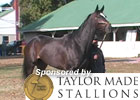 BC Feature: Zenyatta Arrives at Churchill