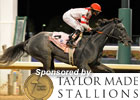 2010 Breeders' Cup Wrap: Day 1