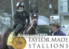 Breeders' Cup News Minute 10/31/2011 (Video)