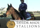 Breeders' Cup News Minute: 11/01/11 (Video)