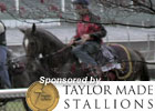 Breeders' Cup News Minute 11/3/2011 (Video) Breeders' Cup News Minute 11/3/2011 (Video)