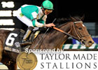 Breeders' Cup 2011 Day 1 Wrap