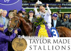 Breeders' Cup 2011 Day 2 Wrap