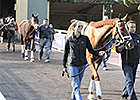 Breeders' Cup News Minute: 10/29/2013 Breeders' Cup News Minute: 10/29/2013