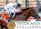 2010 Belmont Stakes Wrap