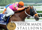 2011 Belmont Stakes Wrap