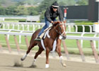 Belmont News Minute: 06/05/2012