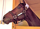 Blame Arrives at Claiborne Blame Arrives at Claiborne