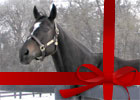 Zenyatta at Lane's End 2010 Zenyatta at Lane's End 2010