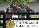 Video: Fasig-Tipton July Sale Preview 2011 Video: Fasig-Tipton July Sale Preview 2011