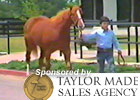 Video: Fasig-Tipton July Feature: Mark Taylor Video: Fasig-Tipton July Feature: Mark Taylor