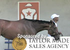 Fasig-Tipton Feature - The Heiligbrodts